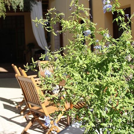 B&B Al Borgo Ravenna Exteriör bild